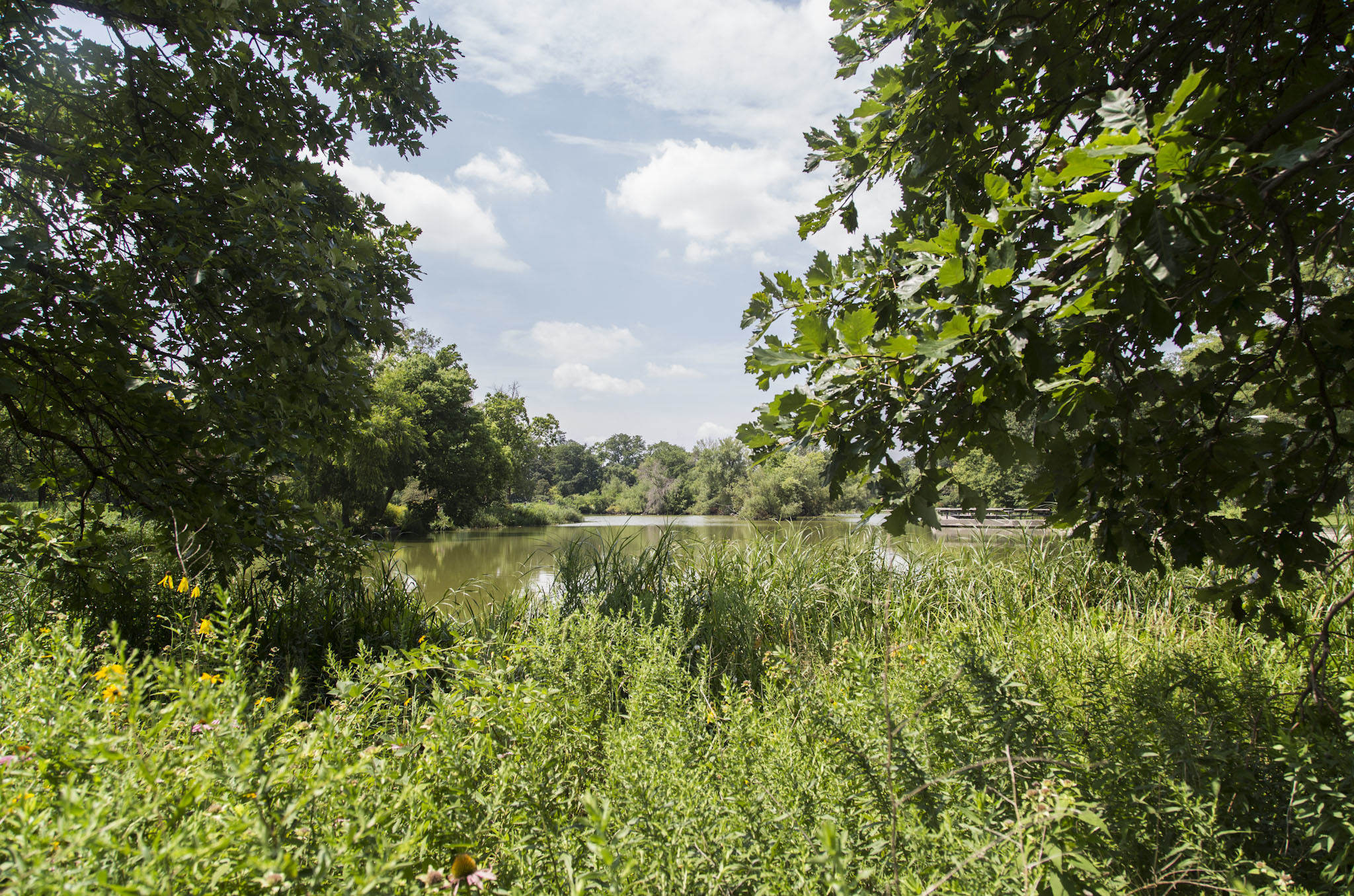 McKinley Park | Things to do in Mckinley Park, Chicago