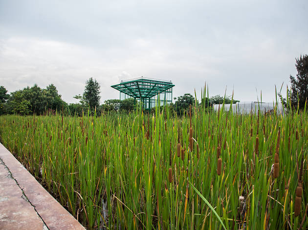 Parque Bicentenario Parque Bicentenario en Azcapotzalco