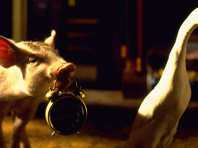 Babe el cerdito valiente Babe el cerdito valiente