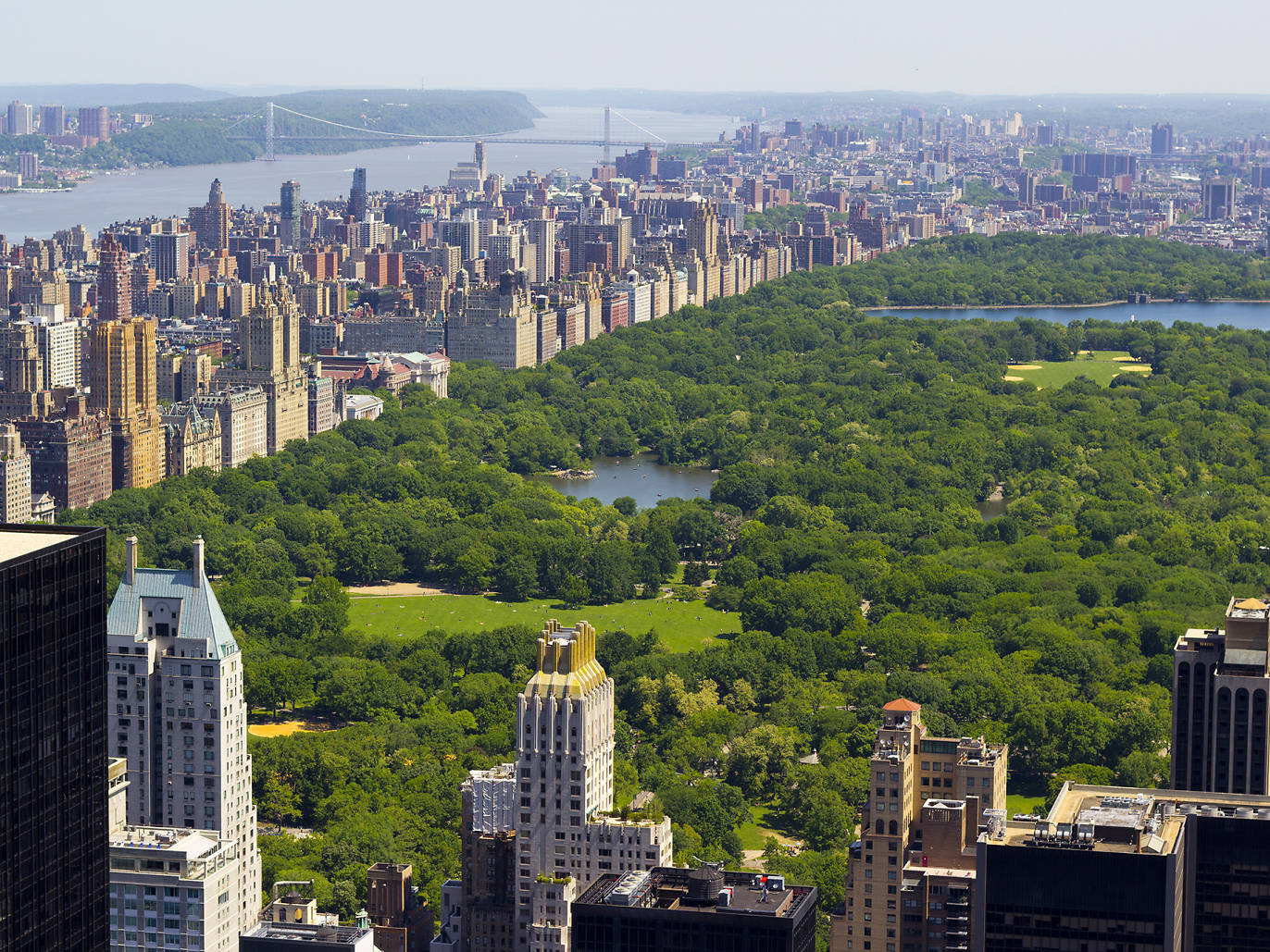 Best picnic spots in Central Park for a picturesque, outdoor meal