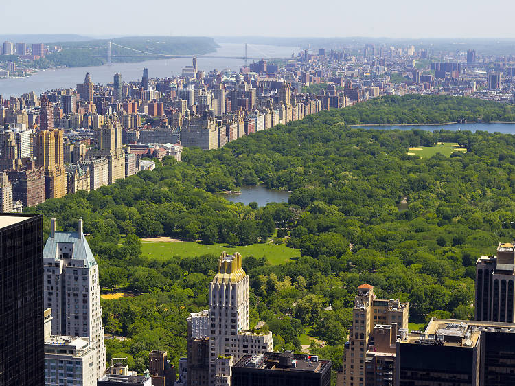 Central Park Bike Tour