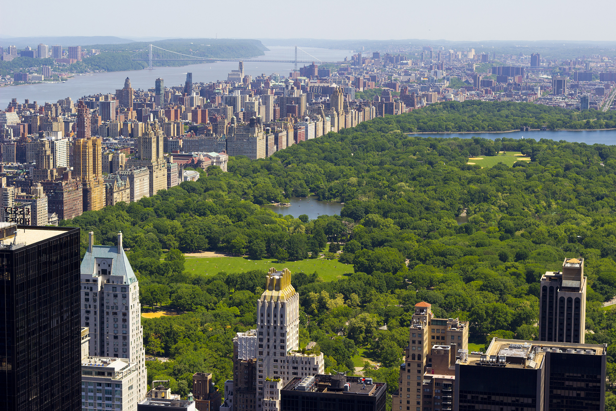 Central Park of New York