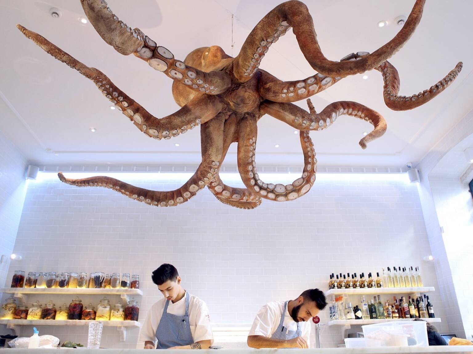 The best restaurants in Príncipe Real – Where to eat in Lisbon