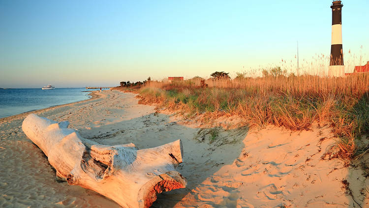 Relax on the beach at Fire Island