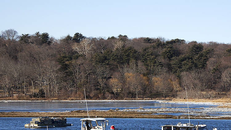 Cold Spring Harbor State Park (Cold Spring Harbor) 