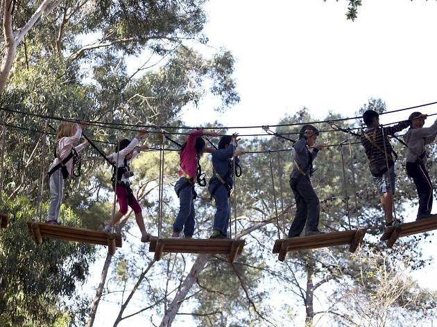 Adventure Park Adventure Park