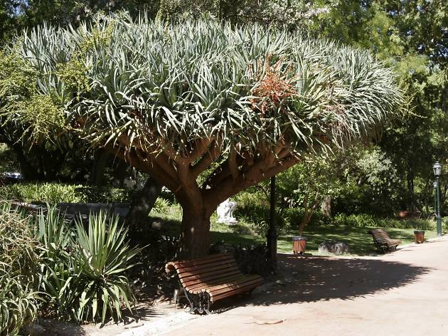 Jardim da Estrela Jardim da Estrela