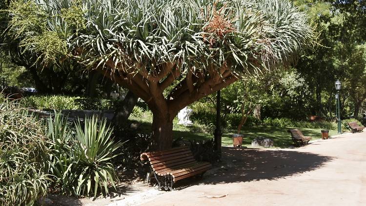 Jardim da Estrela