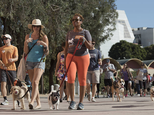 Strut Your Mutt Strut Your Mutt