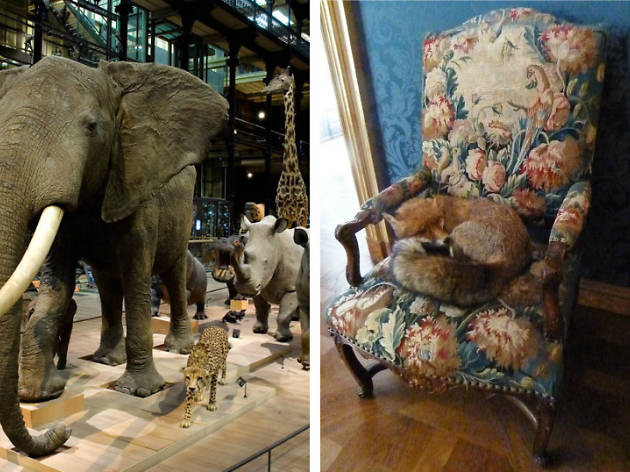 musées intimes musées intimes