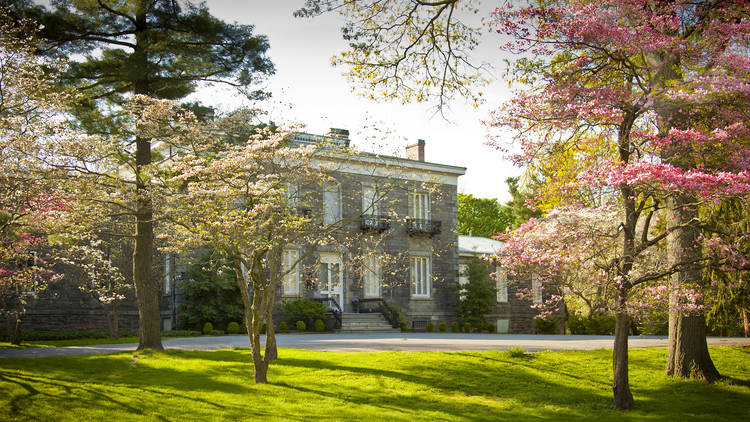 outstretched lawn leading to bartow-pell mansion 