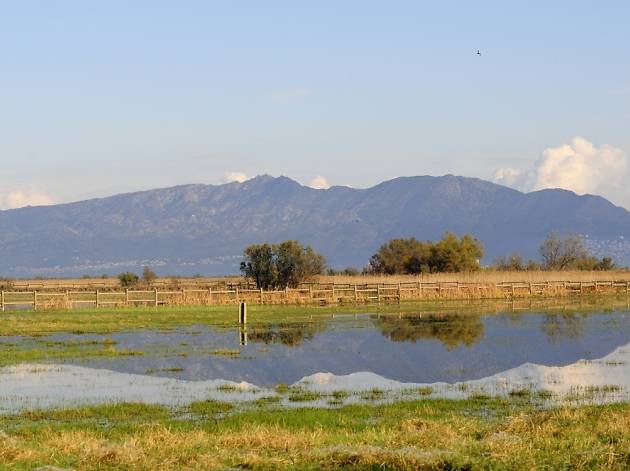 Aiguamolls de l'Empordà Aiguamolls de l'Empordà