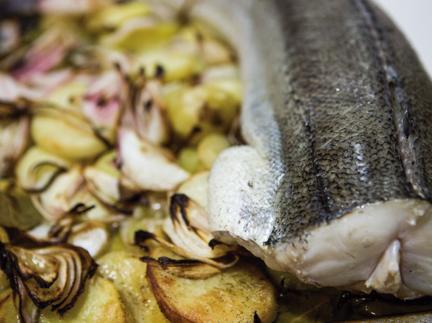 Haddock Haddock