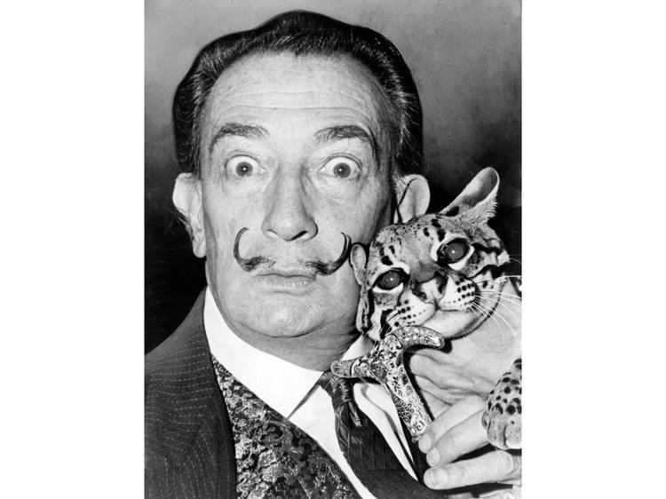 Salvador Dalí