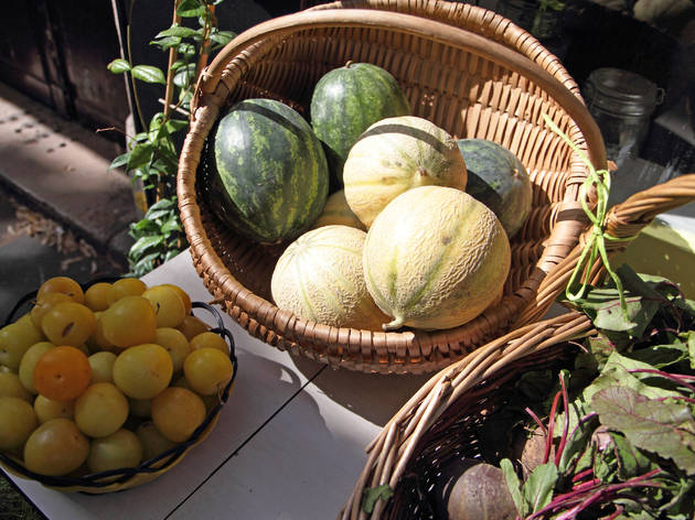 L'Epicerie Vintage primeur bio fruits et légumes meubles boutique L'Epicerie Vintage primeur bio fruits et légumes meubles boutique