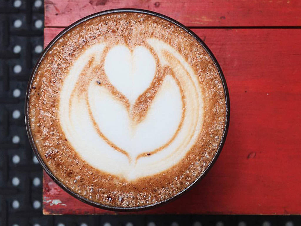 Best Coffee Shops in Hollywood for Your Caffeine Fix
