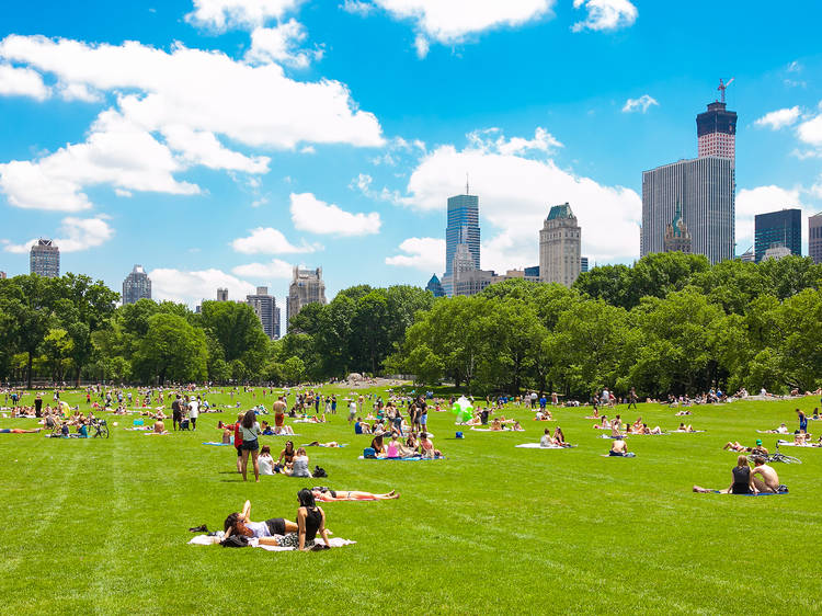 Small-Group Central Park Bike Tour