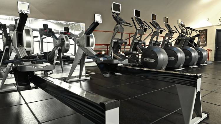 Iron Fitness | Sports and fitness in Santa Monica, Los Angeles