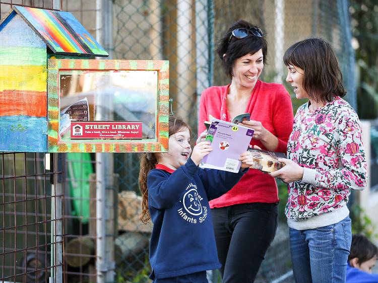 Build yourself a street library