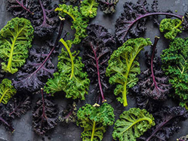 Superfoods – kale Superfoods – kale