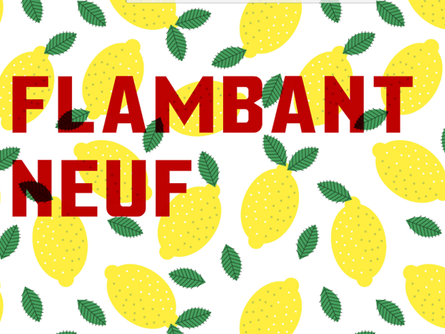 flambant neuf flambant neuf