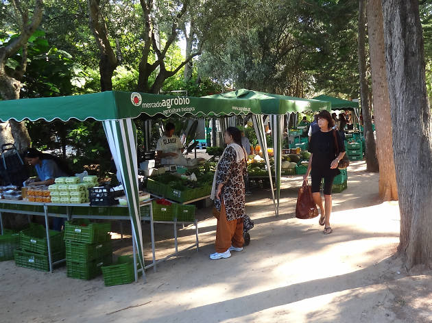 Mercado de Cascais Mercado de Cascais