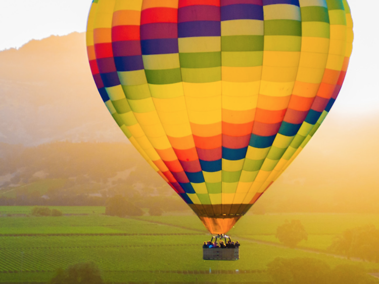 Hot air balloon rides