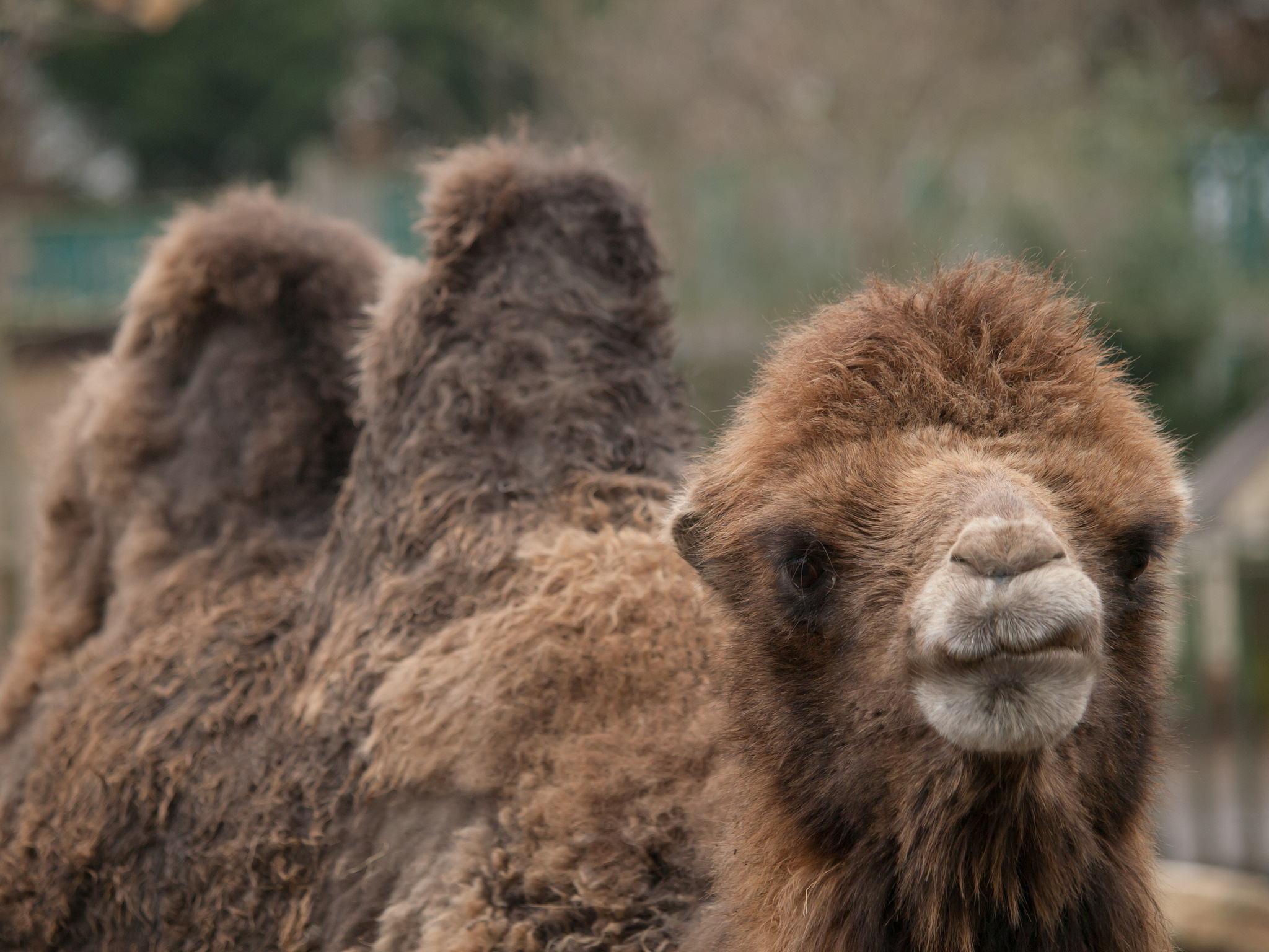 10 Wednesday treats to beat your midweek blues