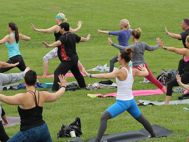 Yoga Yoga