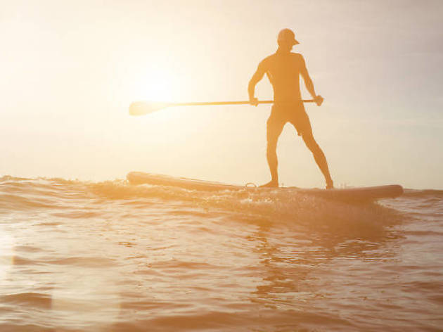Paddle Surf Paddle Surf