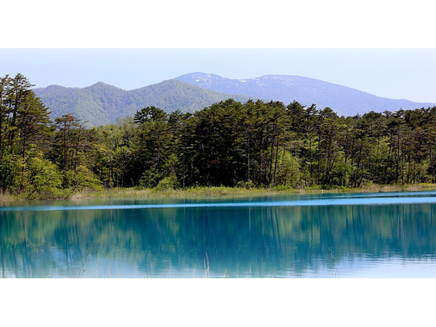 photo: TANAKA Juuyoh 福島県耶麻郡 五色沼自然探勝路