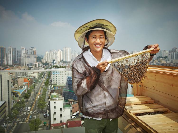서울 옥상에서 꿀벌을 키우다,  어반비즈서울