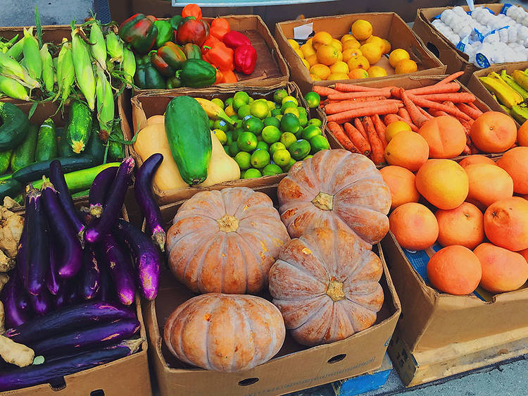 A guide to farmers’ markets in Miami