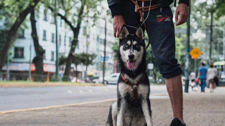 Foto: Cortesía Aldo Gracia