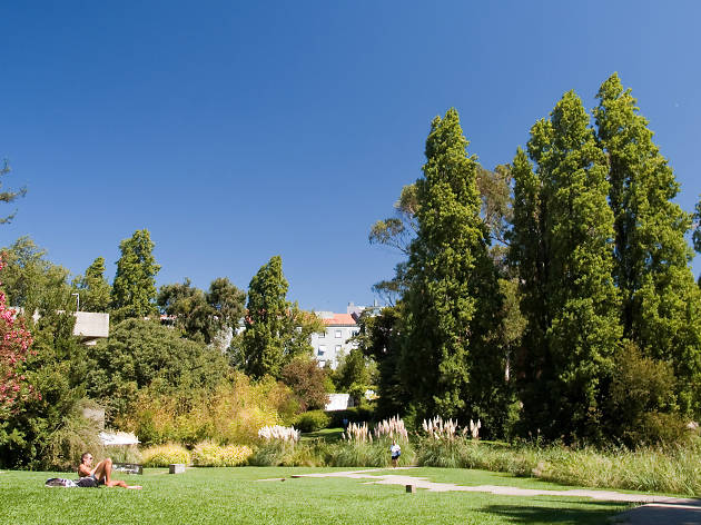 Jardim da Gulbenkian Jardim da Gulbenkian