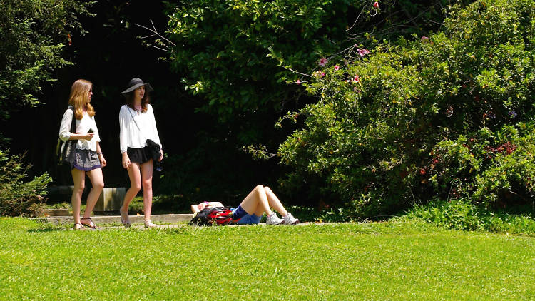 Os melhores parques e jardins em Lisboa