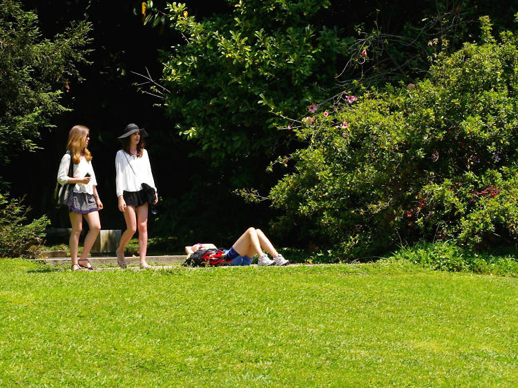 Marque encontro com a paisagem na Gulbenkian