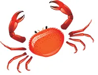 How to eat crab the correct way