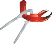 How to eat crab the correct way