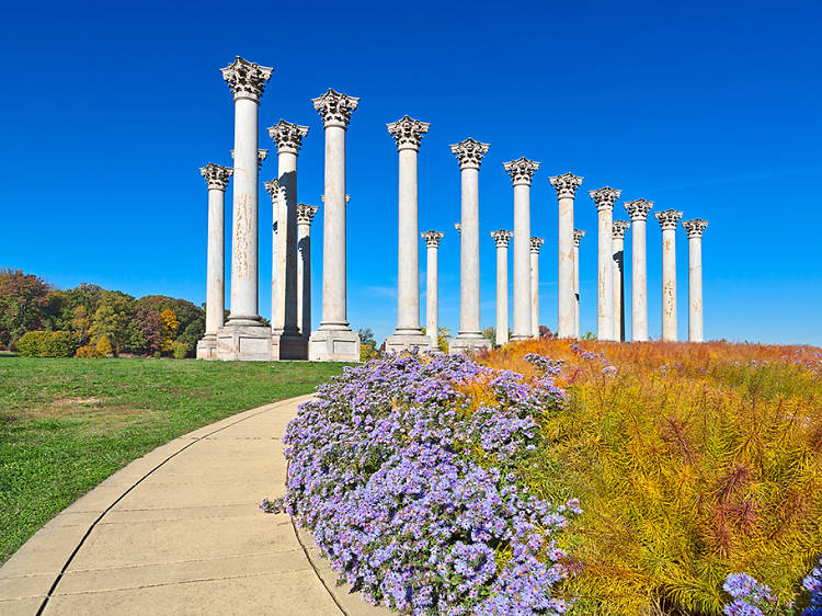 The Capitol Columns at the Arboretum