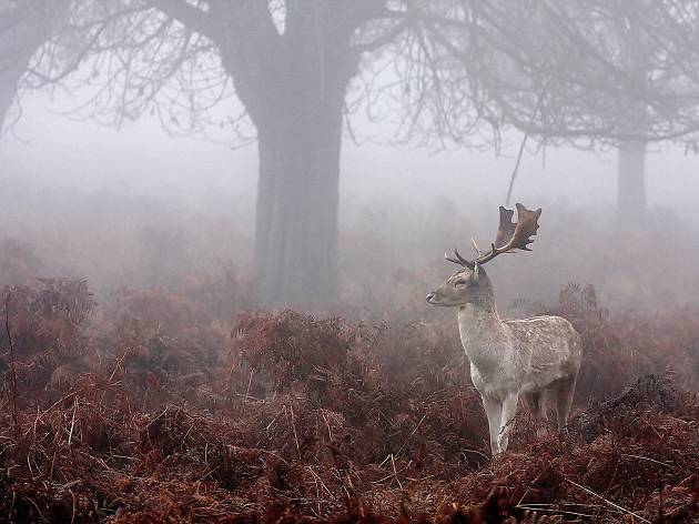 Nine extraordinary neighbourhoods for Londoners who love the outdoors Nine extraordinary neighbourhoods for Londoners who love the outdoors
