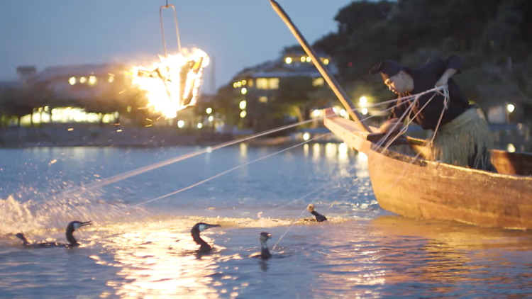 Cormorant fishing in Kyoto | Time Out Tokyo