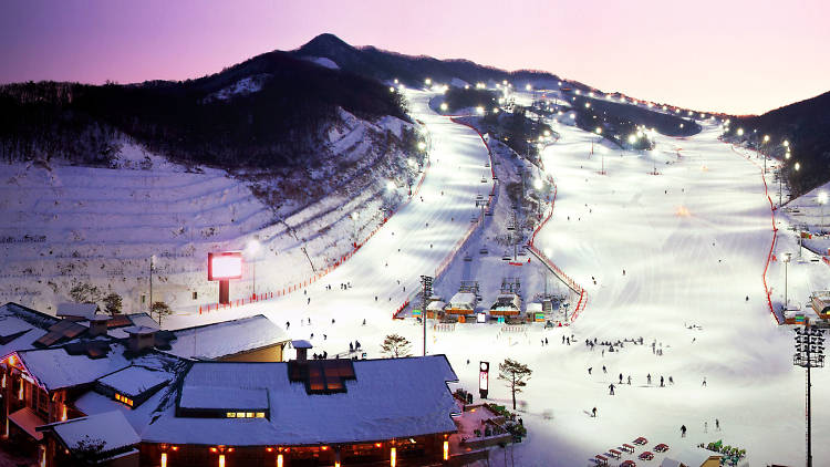 Ski run in Korea nighttime