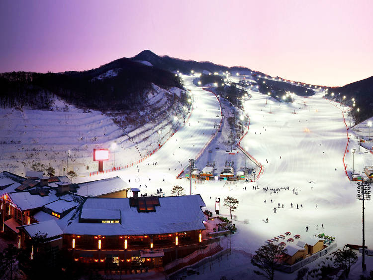 Ski run in Korea nighttime