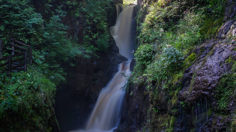 Glenariff Forest Park