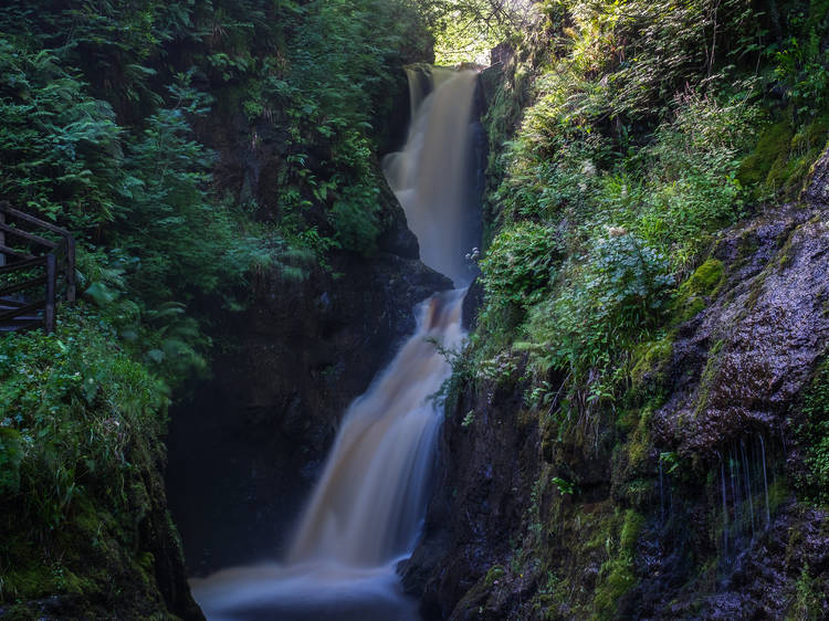 Glenariff Forest Park