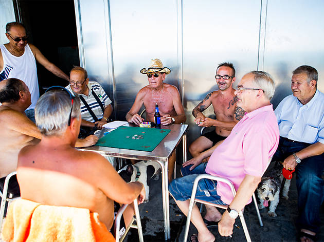 Avis jugant a les cartes la platja Avis jugant a les cartes la platja