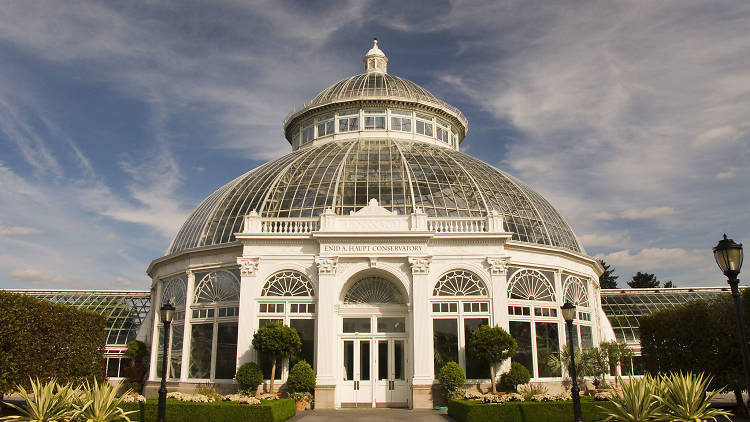 Smell the flowers at New York Botanical Garden