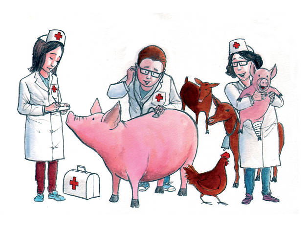Ilustração de Veterinários Ilustração de Veterinários