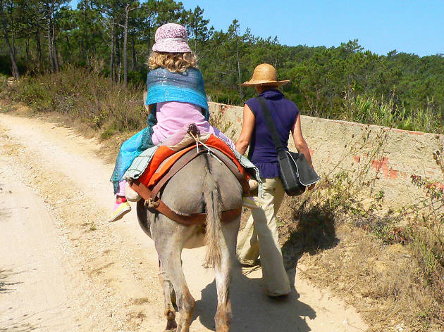 Reserva Burros da Aldeia do Magoito Reserva Burros da Aldeia do Magoito